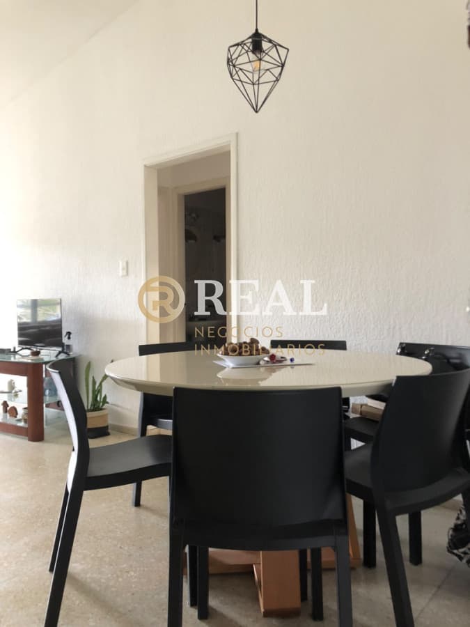 Apartamento ID.1143 - Apartamento en Arcobaleno 1 dormitorio