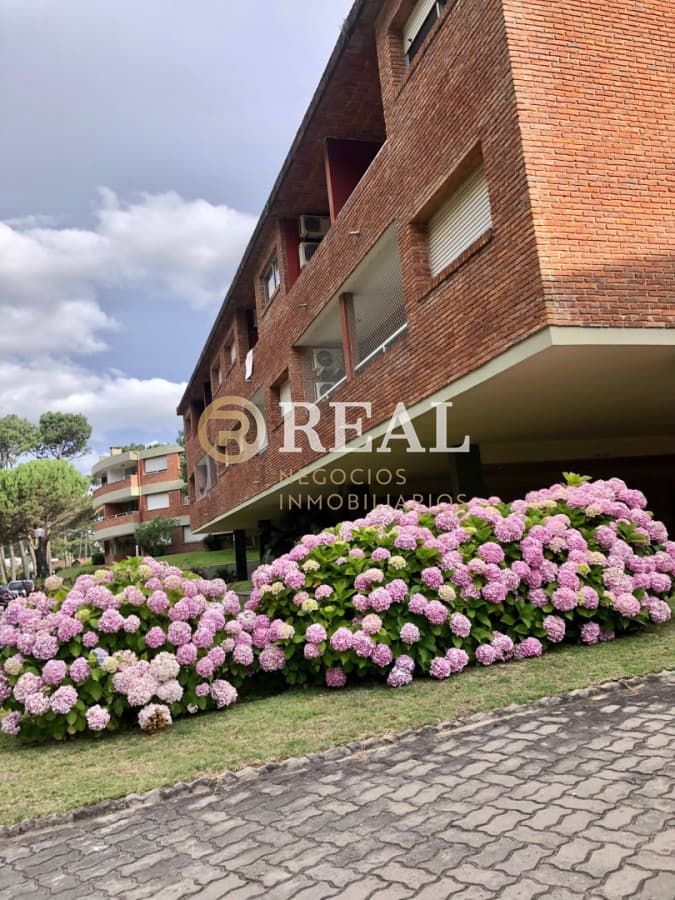 Apartamento ID.1143 - Apartamento en Arcobaleno 1 dormitorio