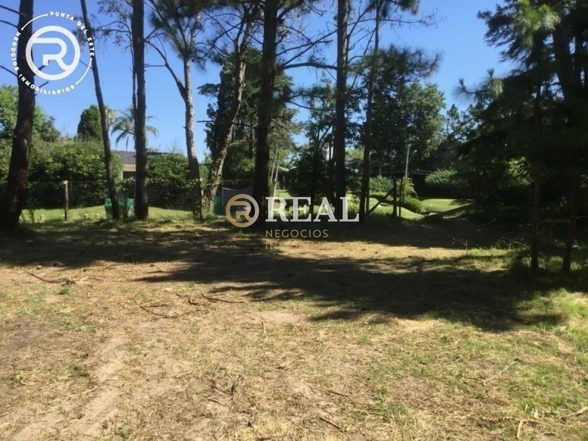 Terreno ID.1095 - Terreno en venta de gran superficie barrio El  Golf, Punta del Este