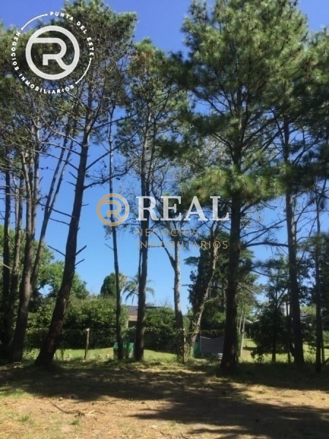 Terreno ID.1095 - Terreno en venta de gran superficie barrio El  Golf, Punta del Este