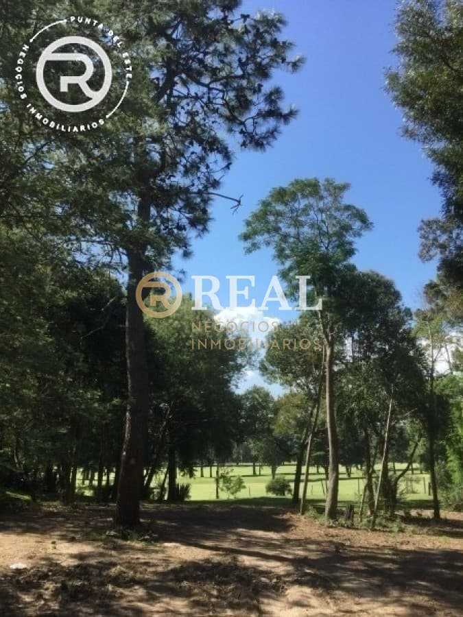 Terreno ID.1095 - Terreno en venta de gran superficie barrio El  Golf, Punta del Este