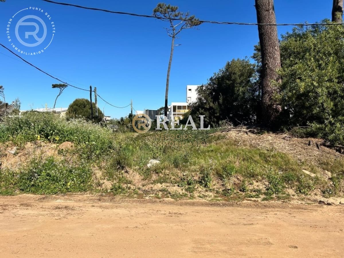 Terreno ID.1117 - Se venden Terreno en Montoya