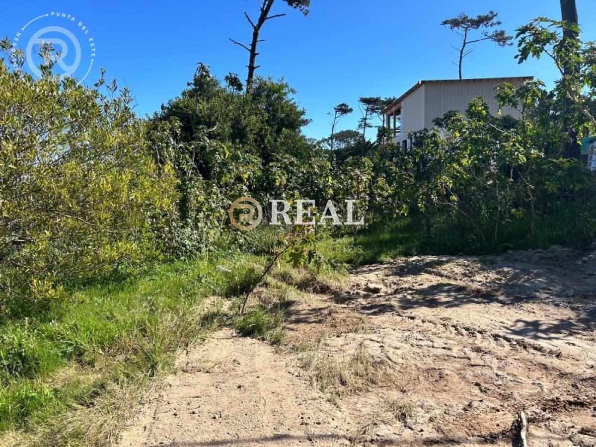 Terreno ID.1117 - Se venden Terreno en Montoya