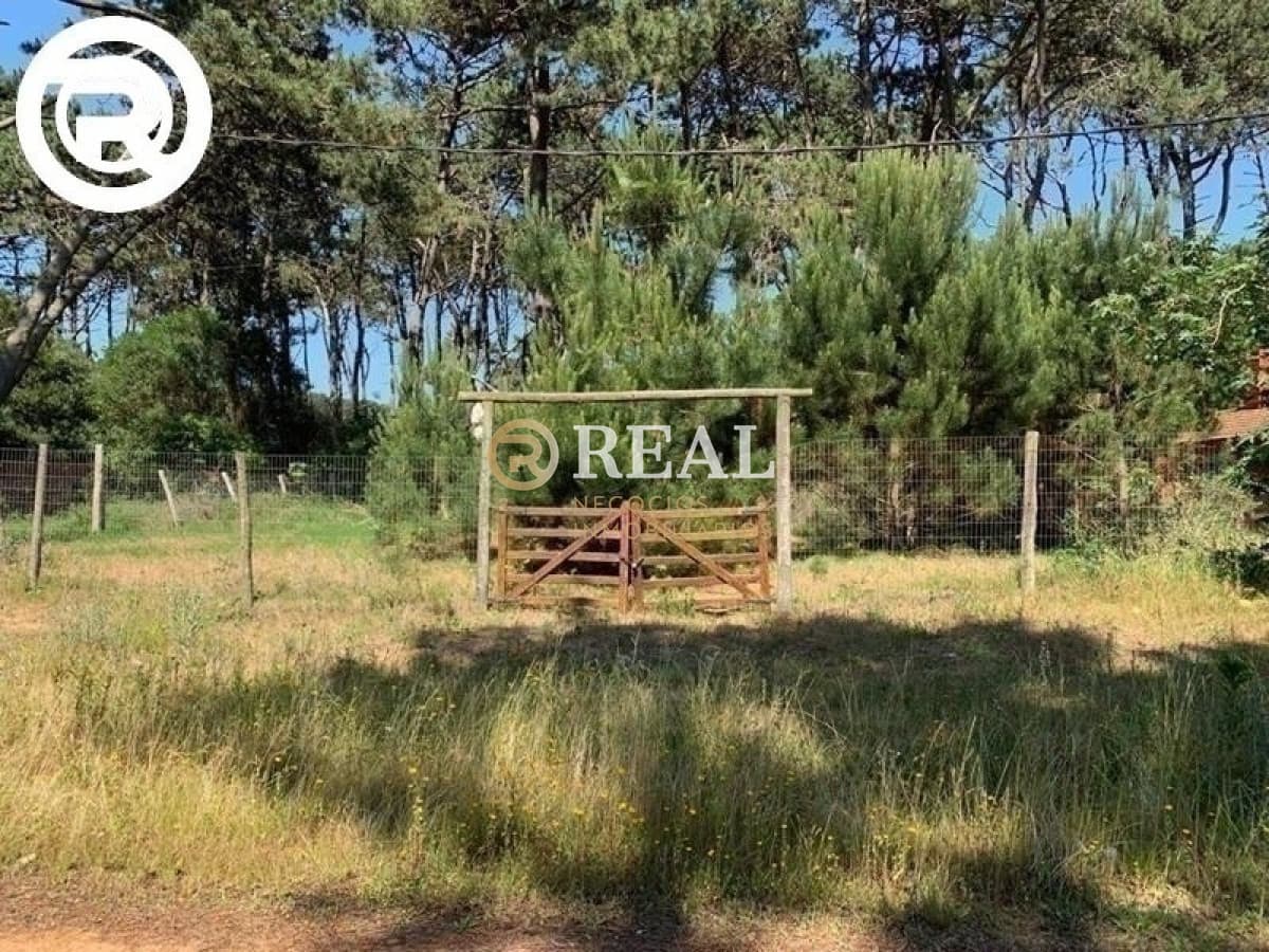 Terreno ID.465 - Terreno, Rincon del Indio, Venta.