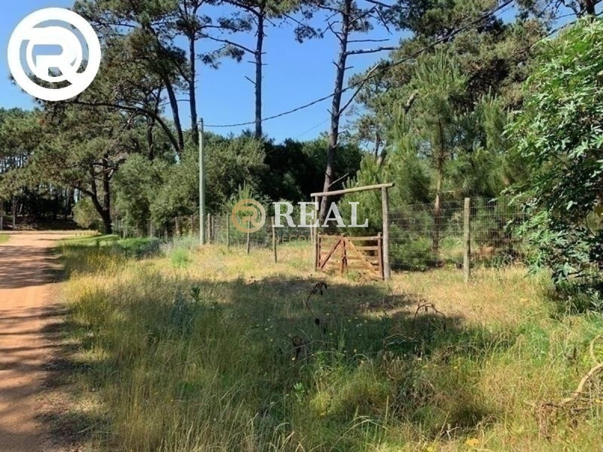 Terreno ID.465 - Terreno, Rincon del Indio, Venta.