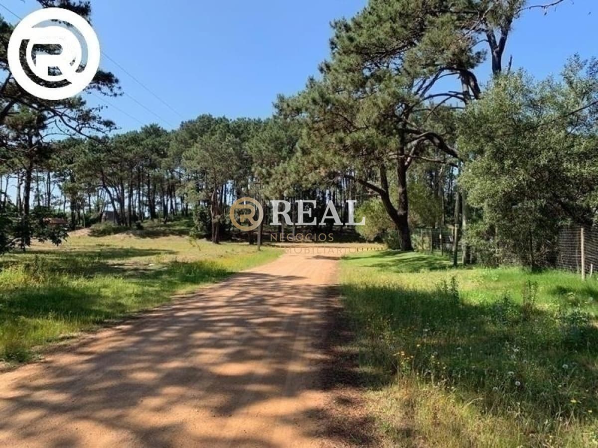 Terreno ID.465 - Terreno, Rincon del Indio, Venta.