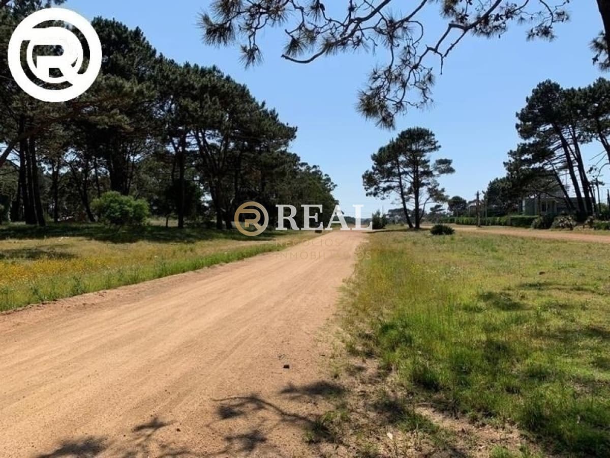 Terreno ID.465 - Terreno, Rincon del Indio, Venta.