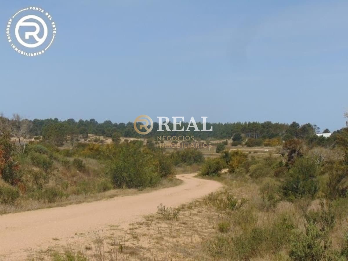 Terreno ID.609 - Terreno en venta en zona Arenas de José Ignacio