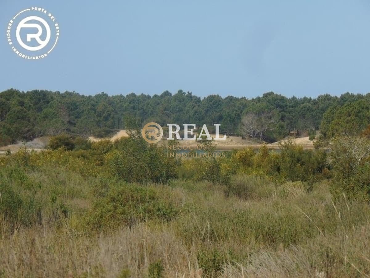 Terreno ID.609 - Terreno en venta en zona Arenas de José Ignacio
