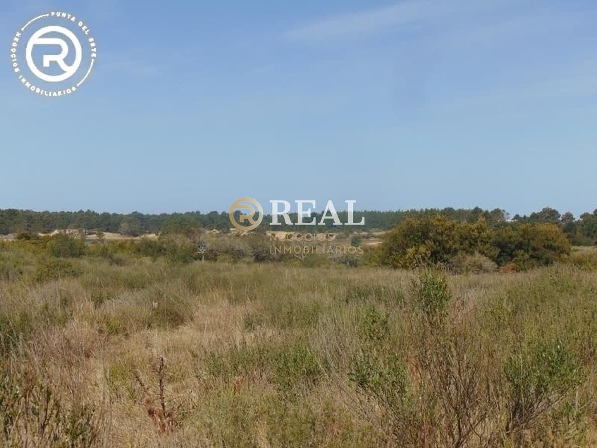 Terreno ID.609 - Terreno en venta en zona Arenas de José Ignacio