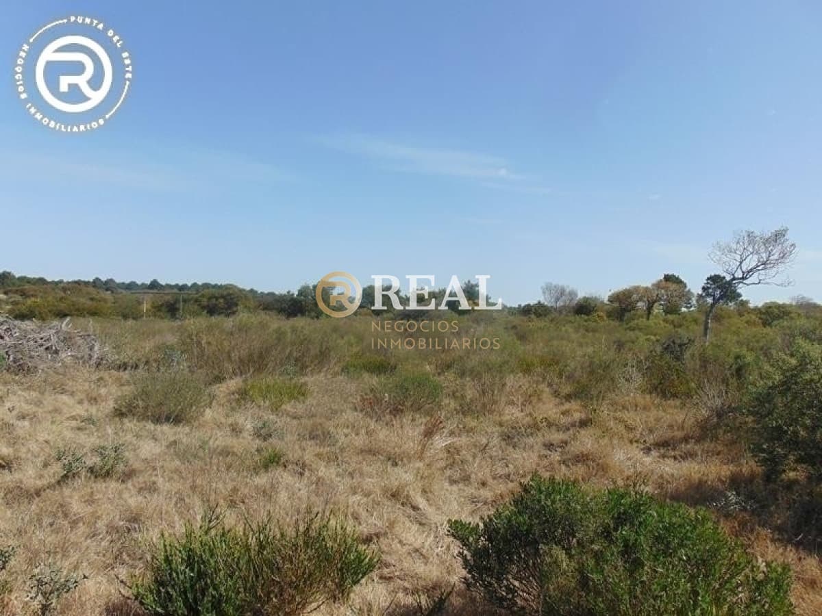 Terreno ID.609 - Terreno en venta en zona Arenas de José Ignacio