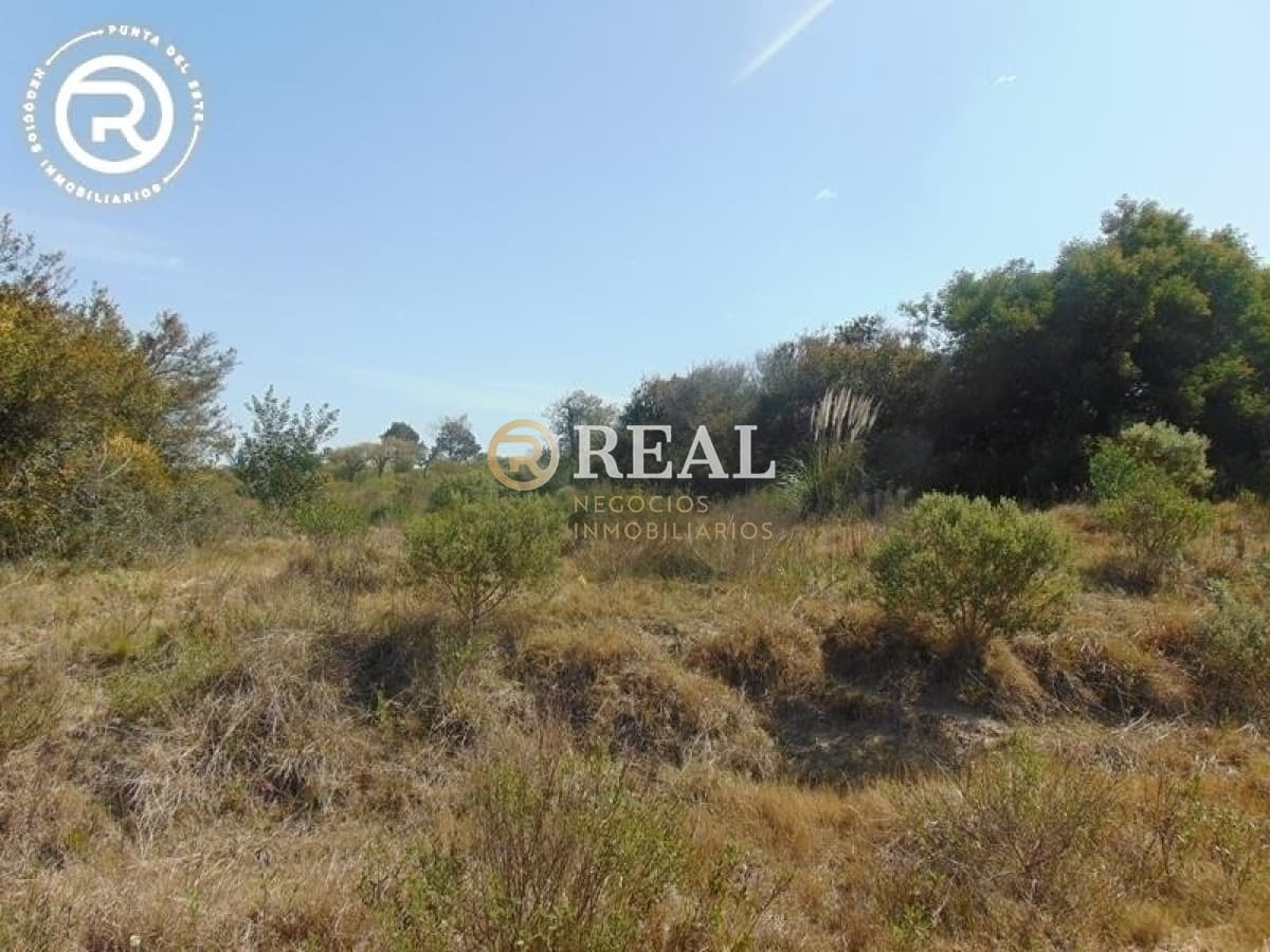Terreno ID.609 - Terreno en venta en zona Arenas de José Ignacio