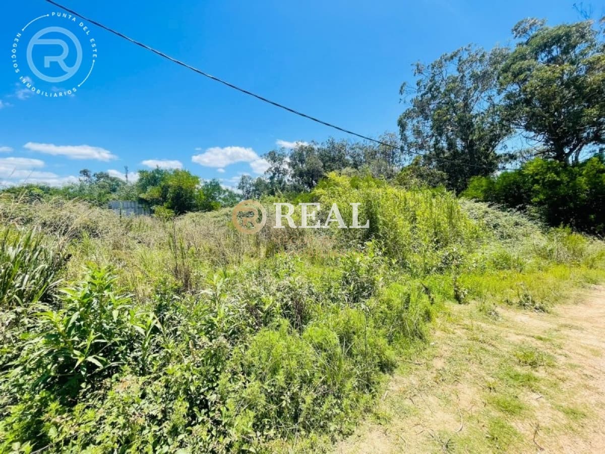 Terreno ID.796 - Terreno en venta en El Chorro