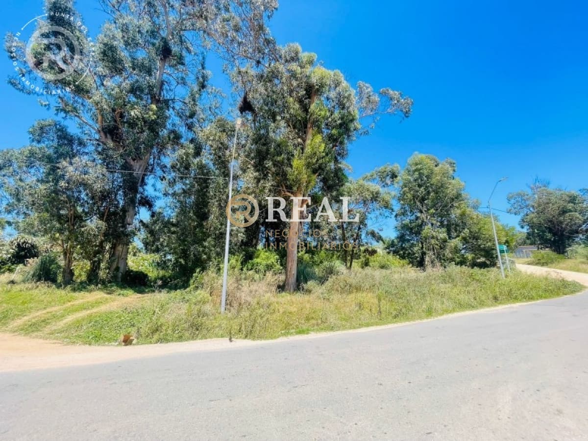 Terreno ID.796 - Terreno en venta en El Chorro