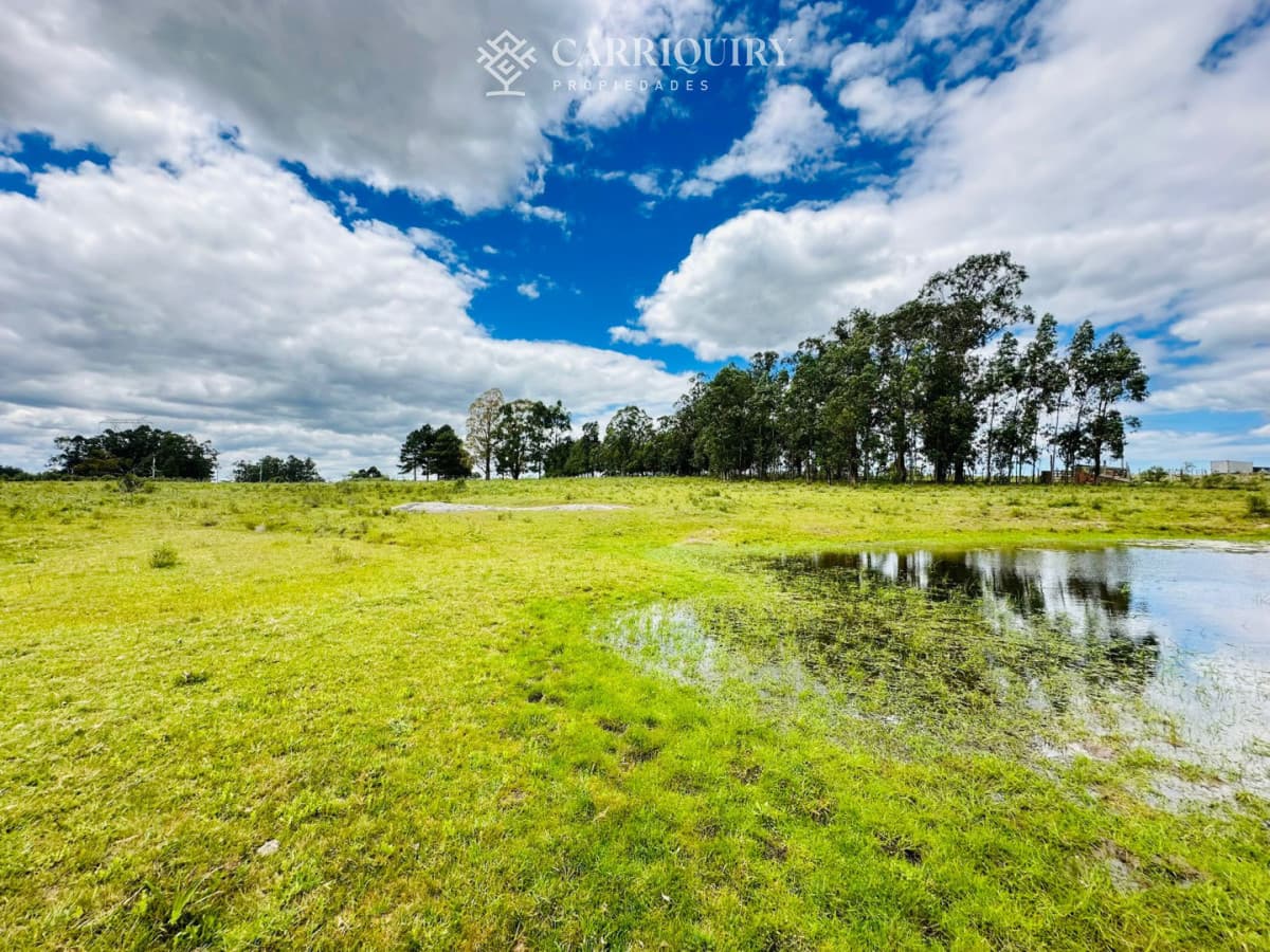 Chacra en venta, 5 hectareas, ruta 12, Maldonado  -