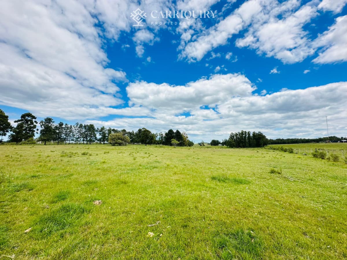Chacra en venta, 5 hectareas, ruta 12, Maldonado  -