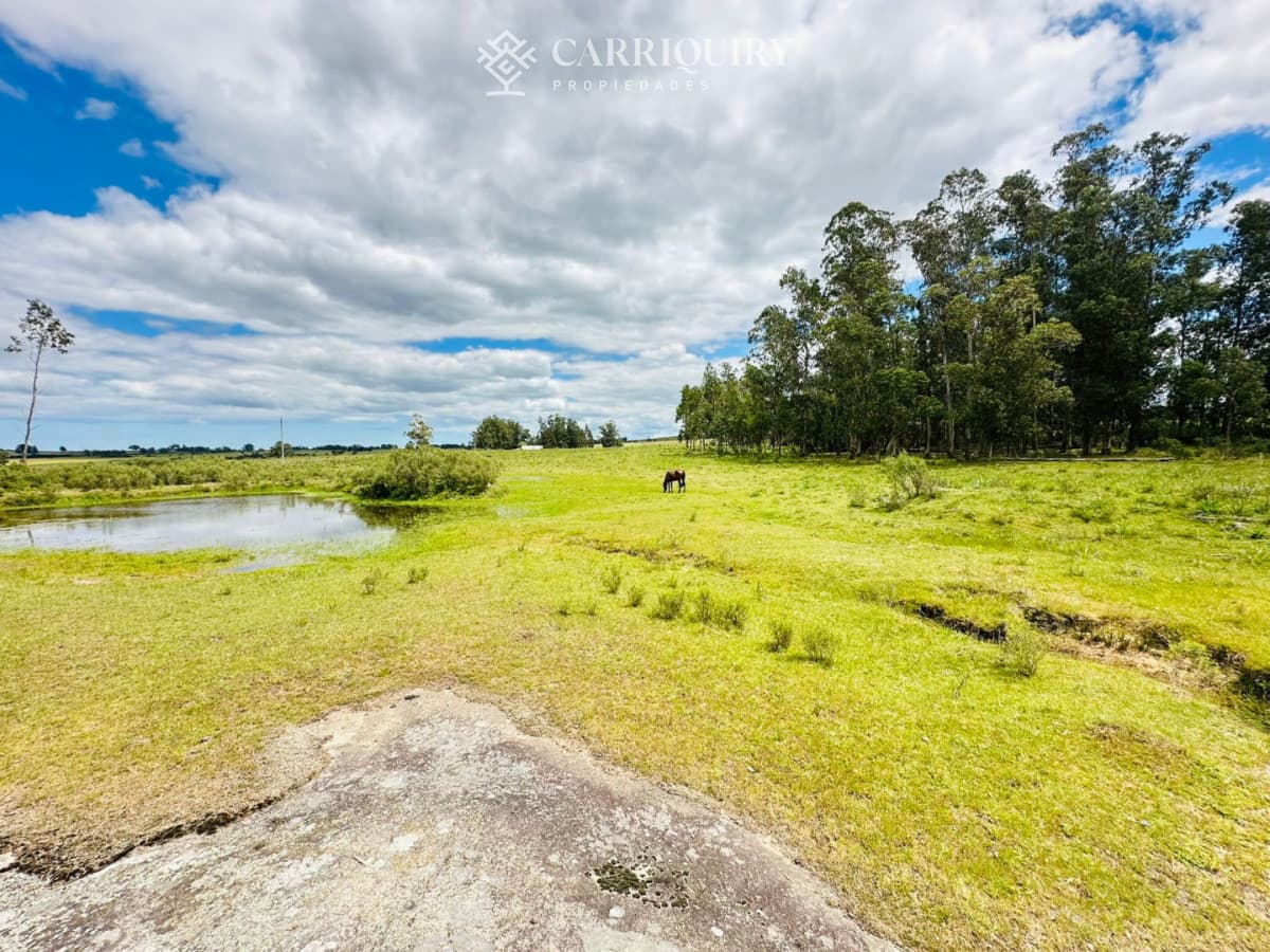 Chacra en venta, 5 hectareas, ruta 12, Maldonado  -