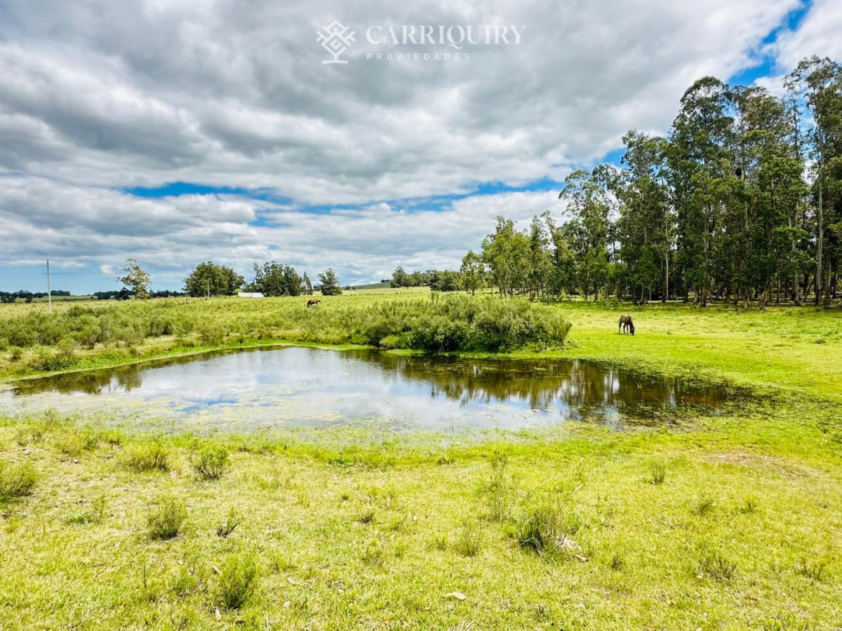 Chacra en venta, 5 hectareas, ruta 12, Maldonado  -