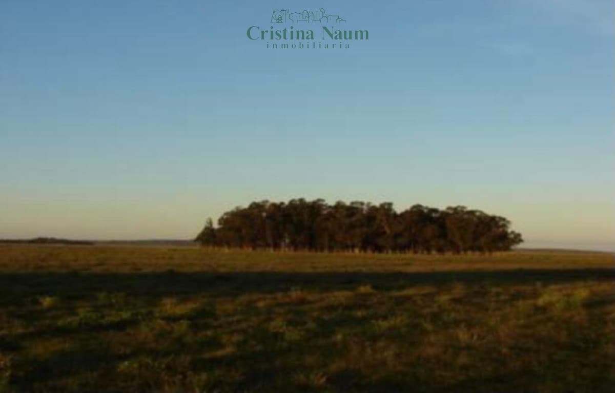 Espectacular campo de 110 ha.