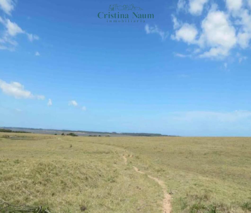 Espectacular campo de 110 ha.