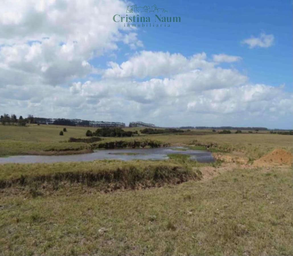 Espectacular campo de 110 ha.