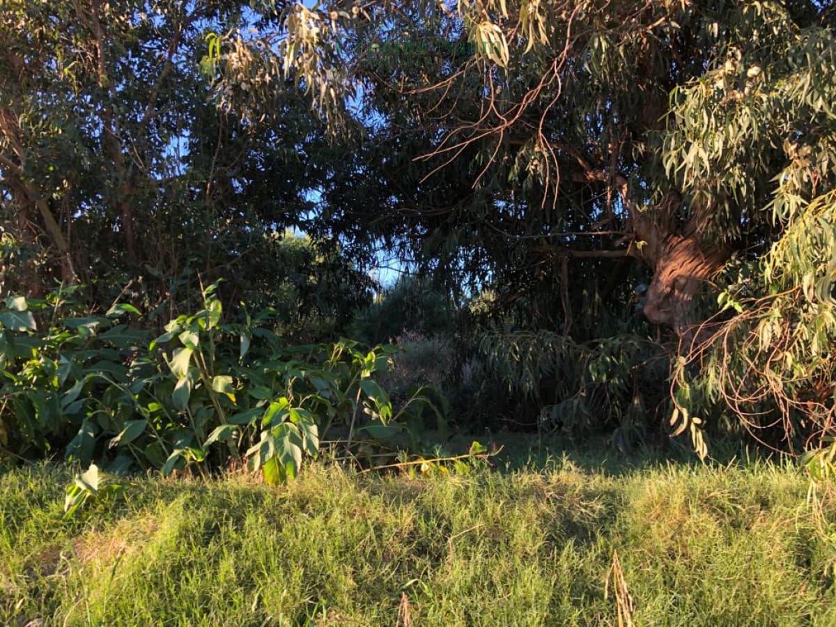 5 Terrenos en Balneario Buenos Aires