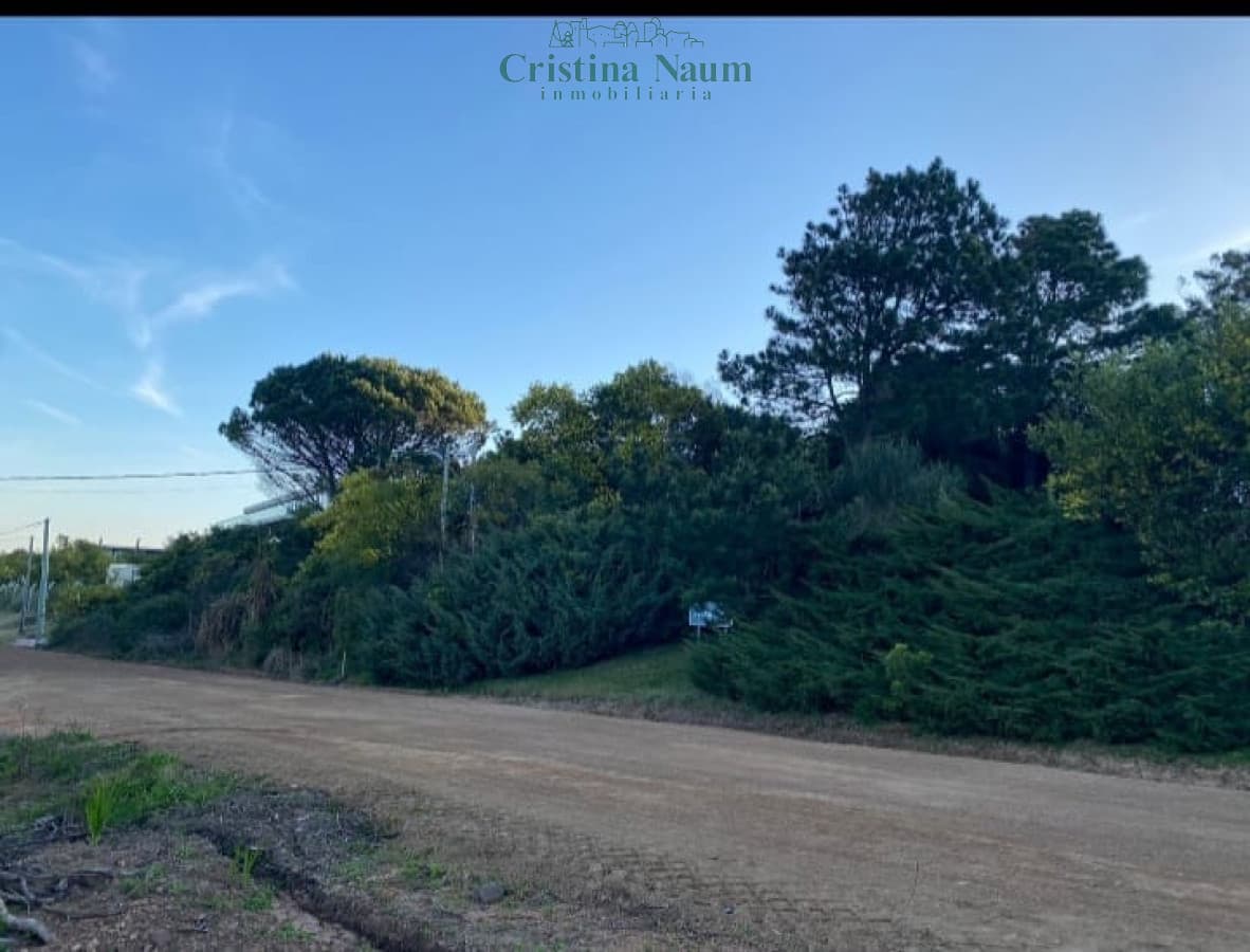 Increible Lote en Punta Ballena con vista. OPORTUNIDAD