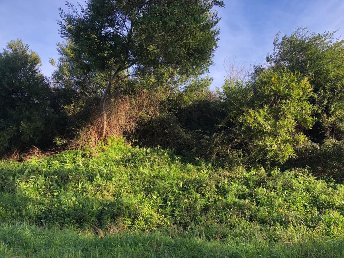 Terreno en El Chorro