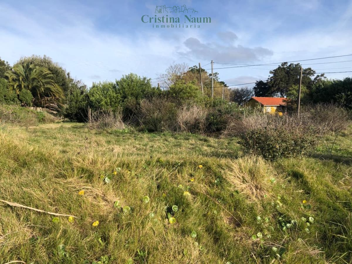 Terreno en El Chorro