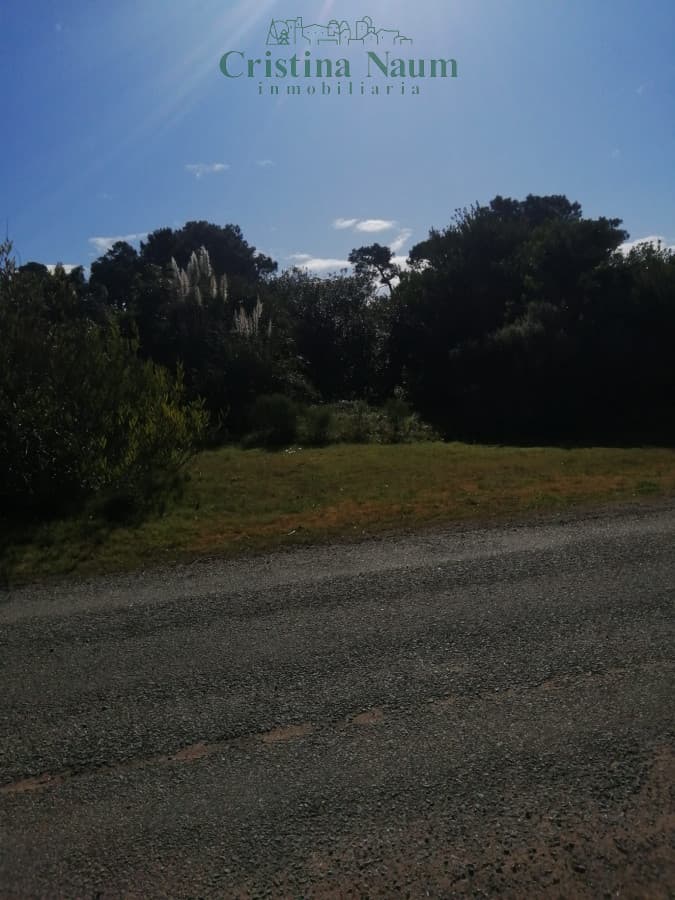 UNO DE LOS ULTIMOS PREDIOS EN R.DEL INDIO