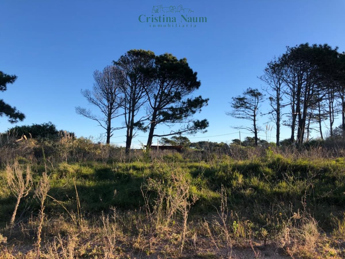 2 TerrenoS en Balneario Buenos Aires