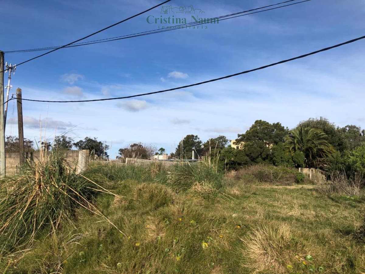 Terreno en El Chorro