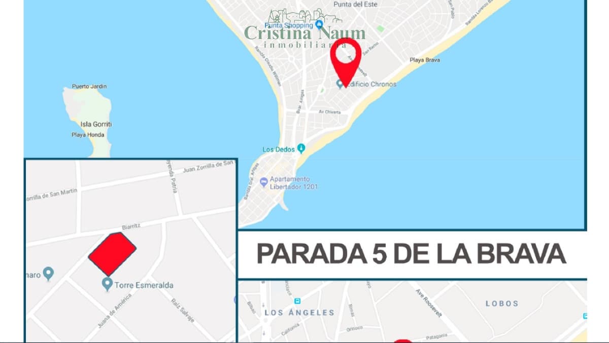 ATENCION INVERSORES BRAVA PDA 6 APTO EDIFICIO PB + 15 PISOS .- A.GRILL