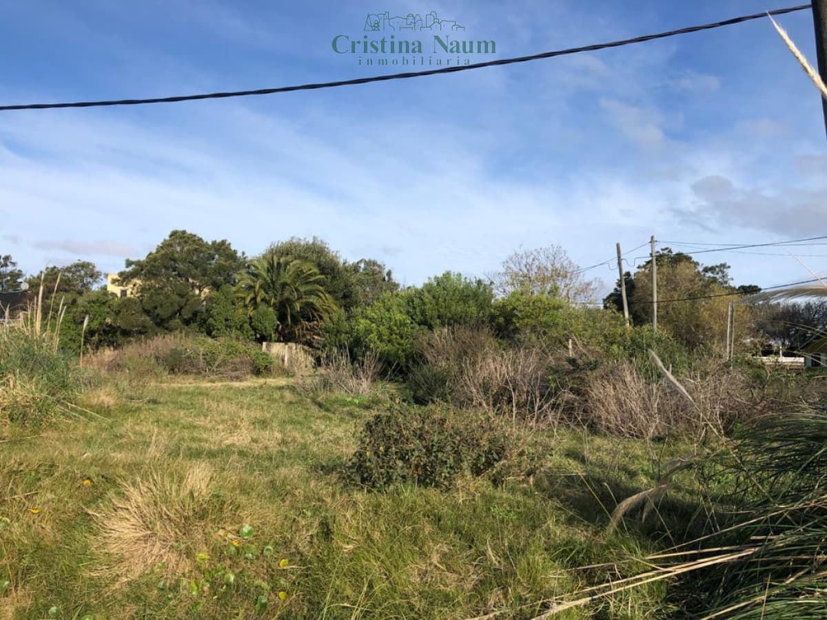 Terreno en El Chorro