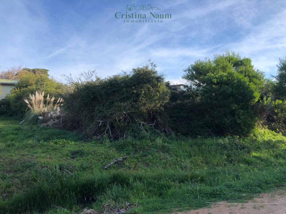 Terreno en El Chorro
