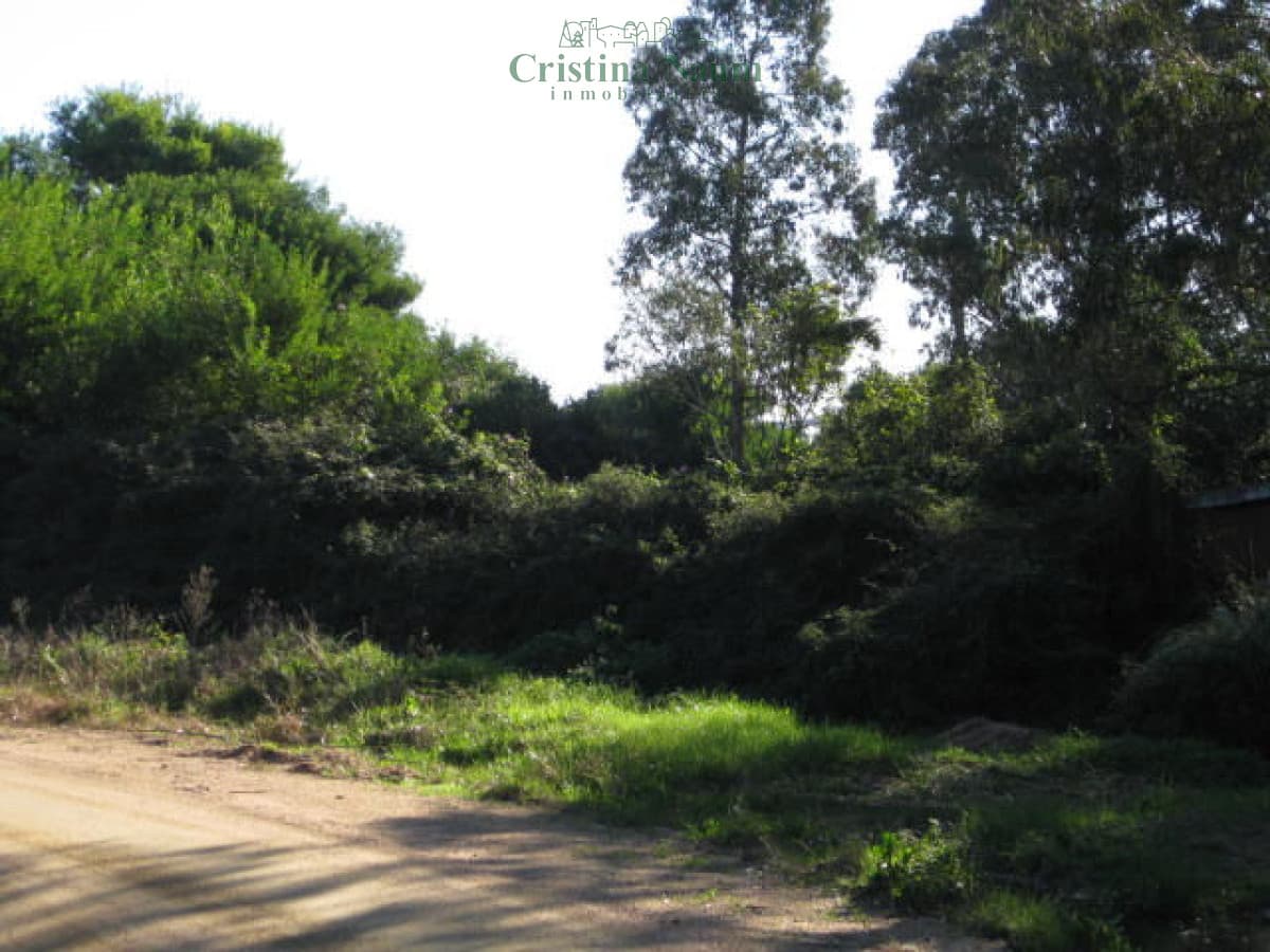 Terreno en El Chorro