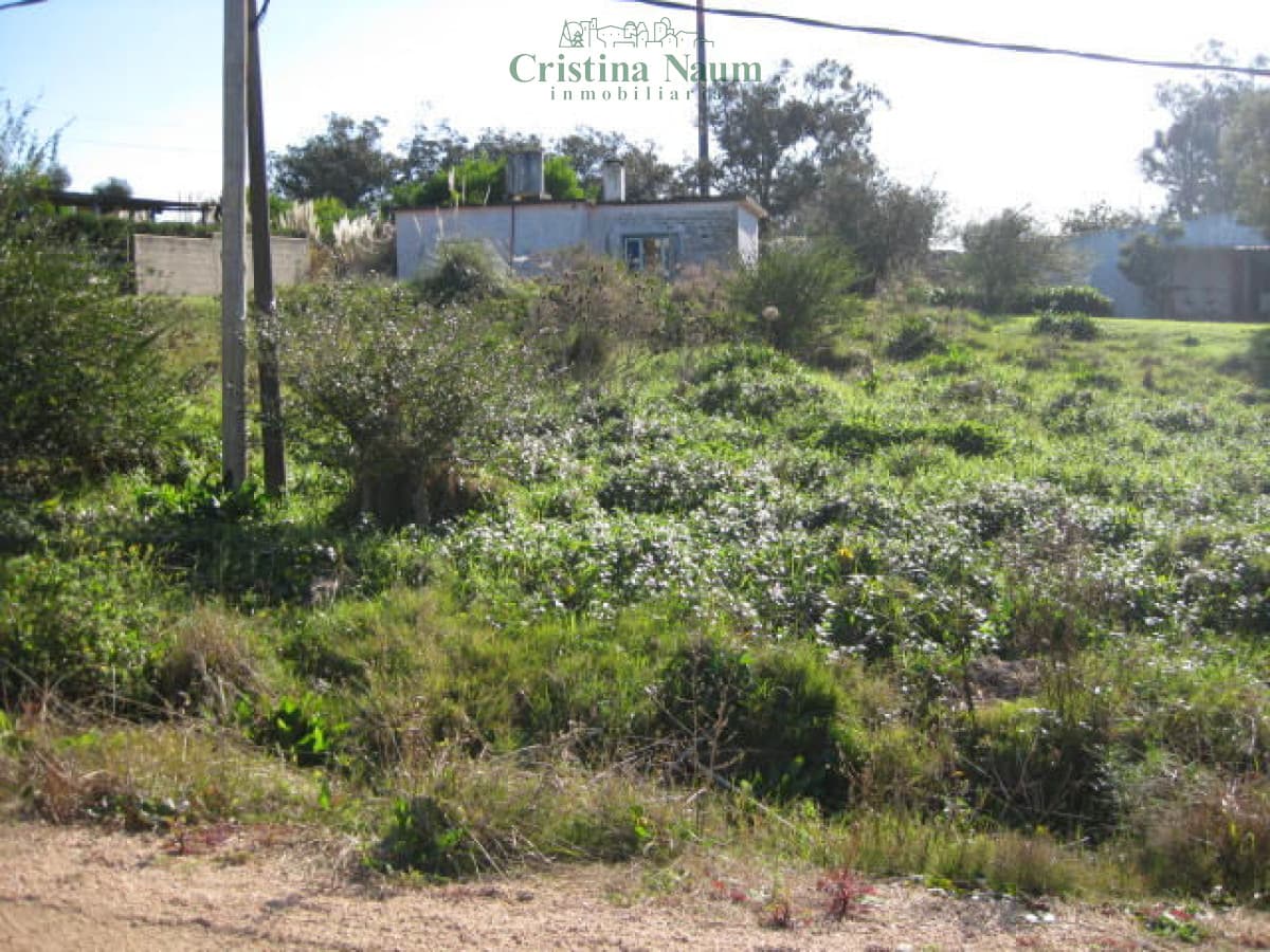 Terreno en El Chorro