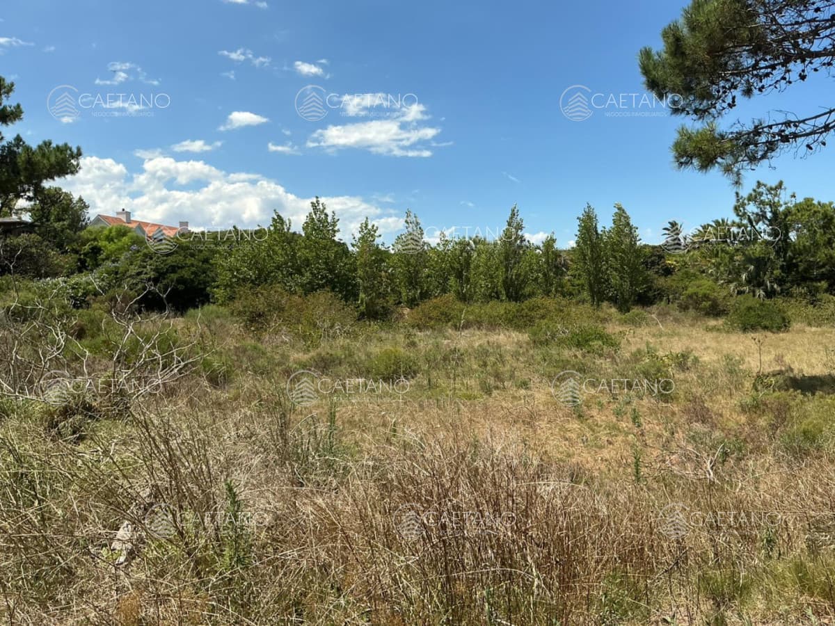 BRAVA - EXCEPCIONAL LOTE A 150 MTS DEL MAR
