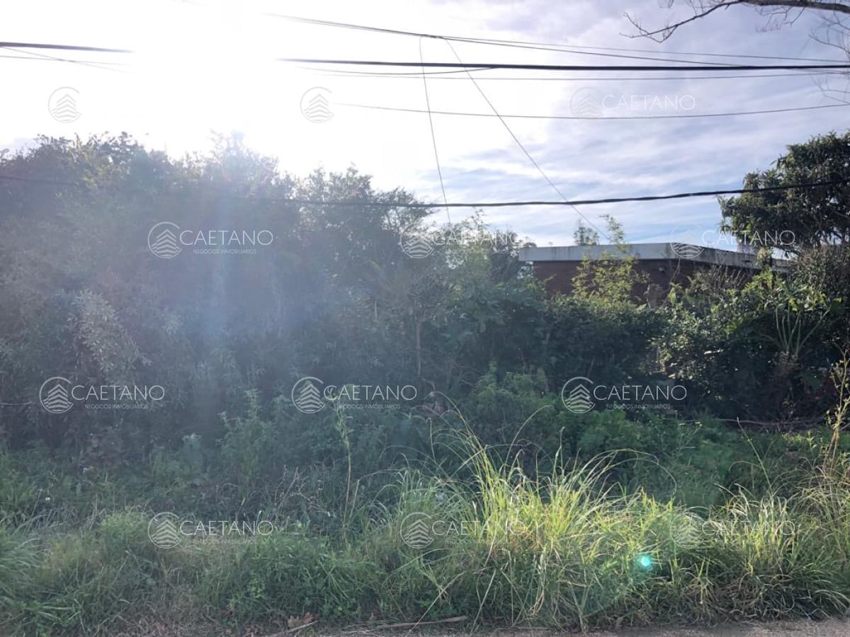 Venta terreno en El Chorro
