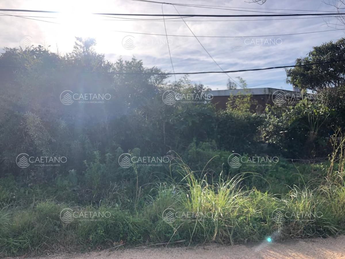 Venta terreno en El Chorro