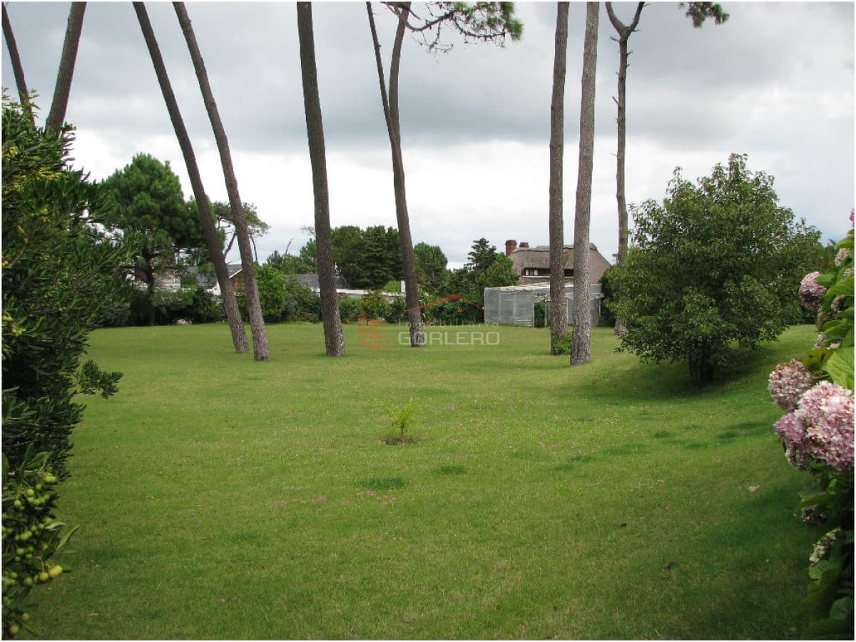 Tu Refugio Ideal a Pasos del Mar en Pinares