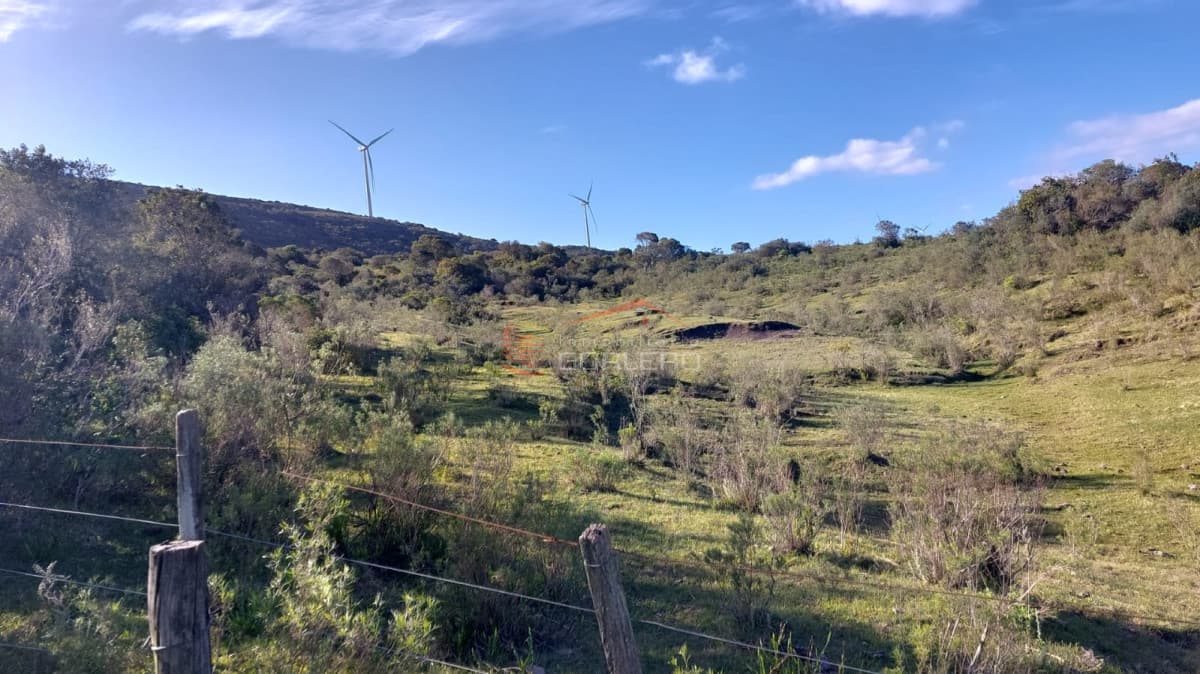 Venta de chacras en Maldonado, Sierra de los Caracoles 5 y 6 hás - Inmobiliaria Gorlero