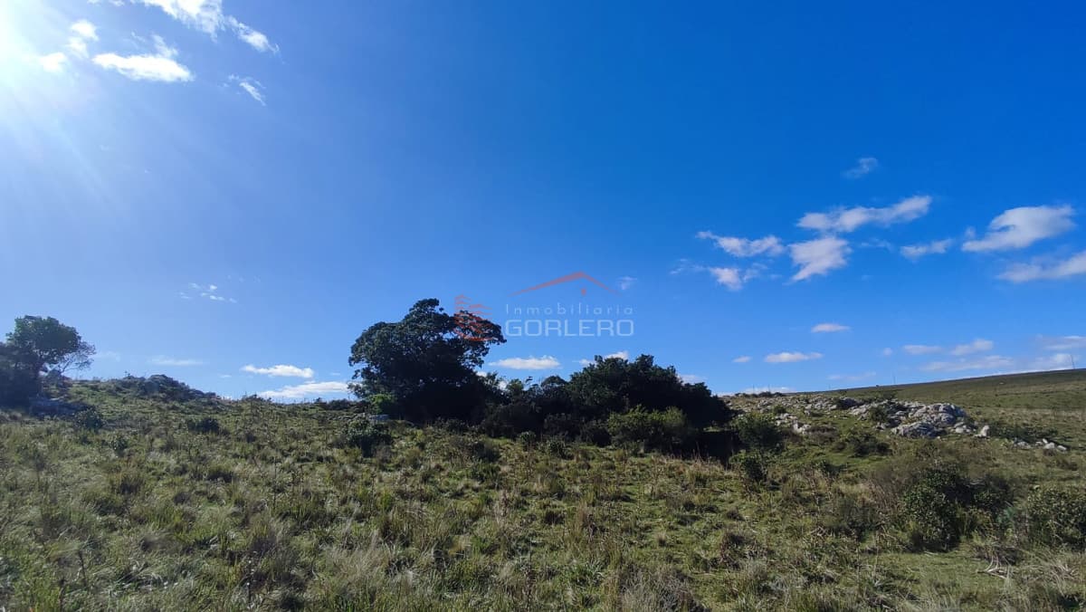 Venta de chacra sobre Ruta 12 al Norte de Pueblo Edén