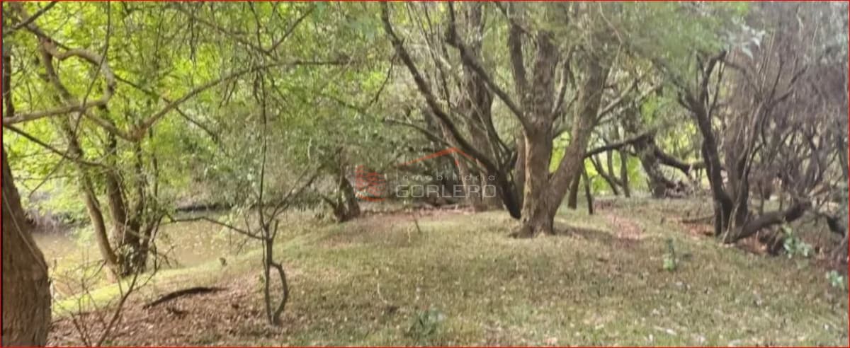 Venta de chacras zona Pueblo Edén, Ruta 12 a pocos km - Inmobiliaria Gorlero