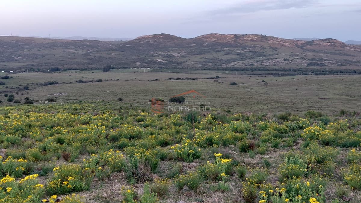 Venta de chacras en Maldonado, Sierra de los Caracoles 5 y 6 hás - Inmobiliaria Gorlero