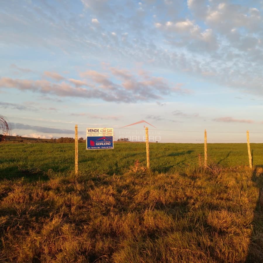 Venta de chacra sobre Ruta 12 al Norte de Pueblo Edén