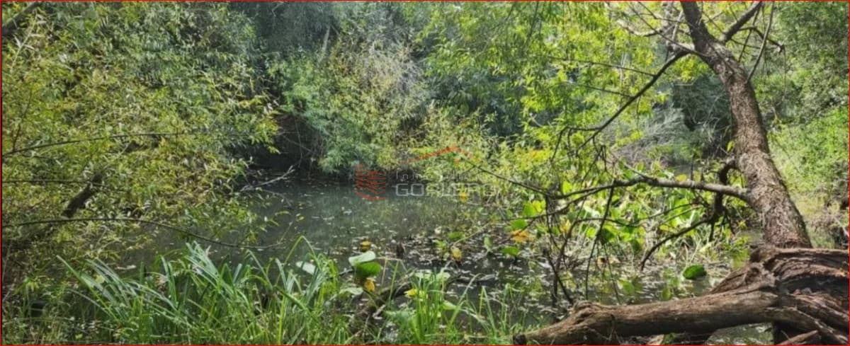 Venta de chacras zona Pueblo Edén, Ruta 12 a pocos km - Inmobiliaria Gorlero