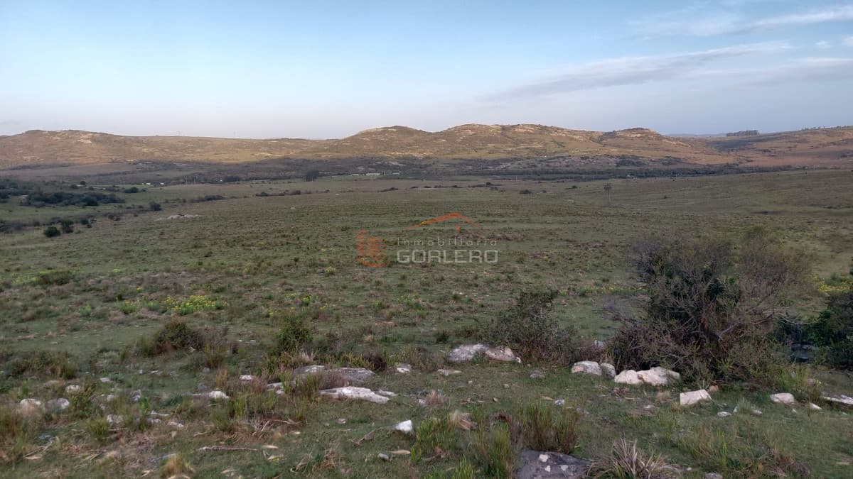 Venta de chacras en Maldonado, Sierra de los Caracoles 5 y 6 hás - Inmobiliaria Gorlero