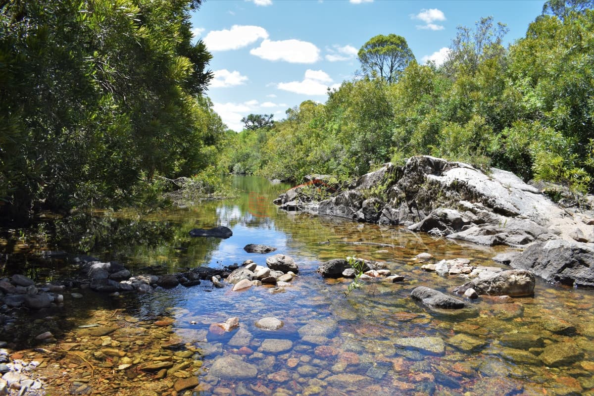 Chacras en venta próximo a Ruta 12, al norte de Pueblo Edén