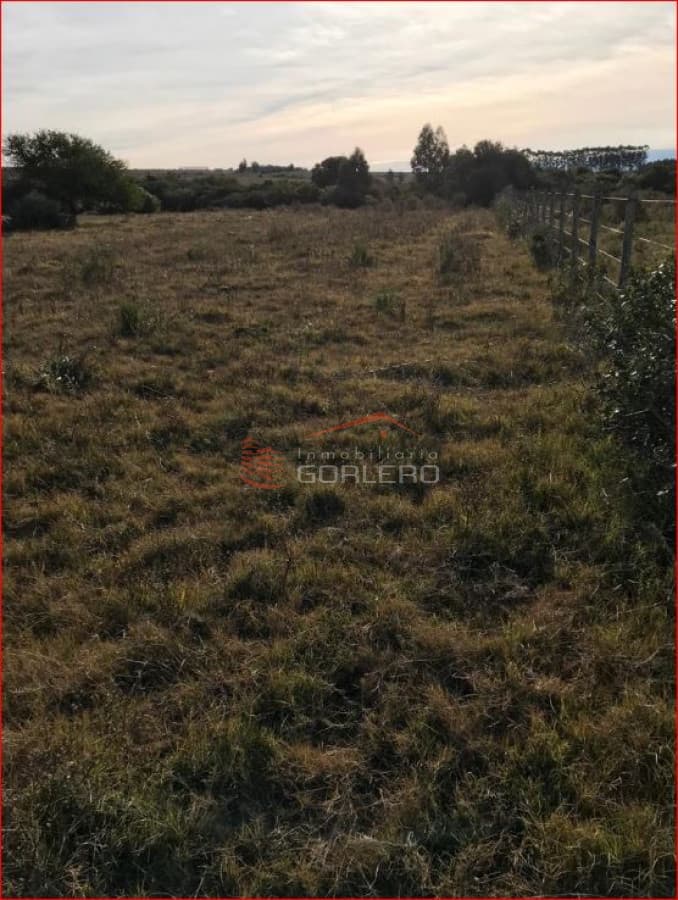 Chacra próximo a Ruta 12 y Pueblo Edén, 12 hás con costa